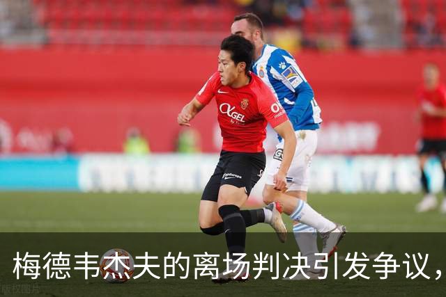 梅德韦杰夫的离场判决引发争议，独特结局让人唏嘘